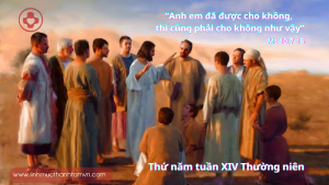 thunamtuan14tn