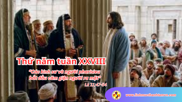 Thứ năm tuần XXVIII thường niên - Con người tham dự vào Kế Họach Cứu Độ của Thiên Chúa. 1 thunamtuan28tnlinhmucthanhtam