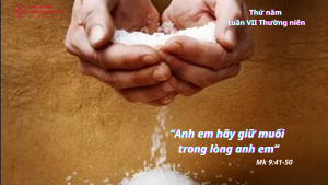 thunamtuan7tn