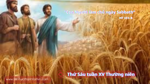 thusautuan15tn