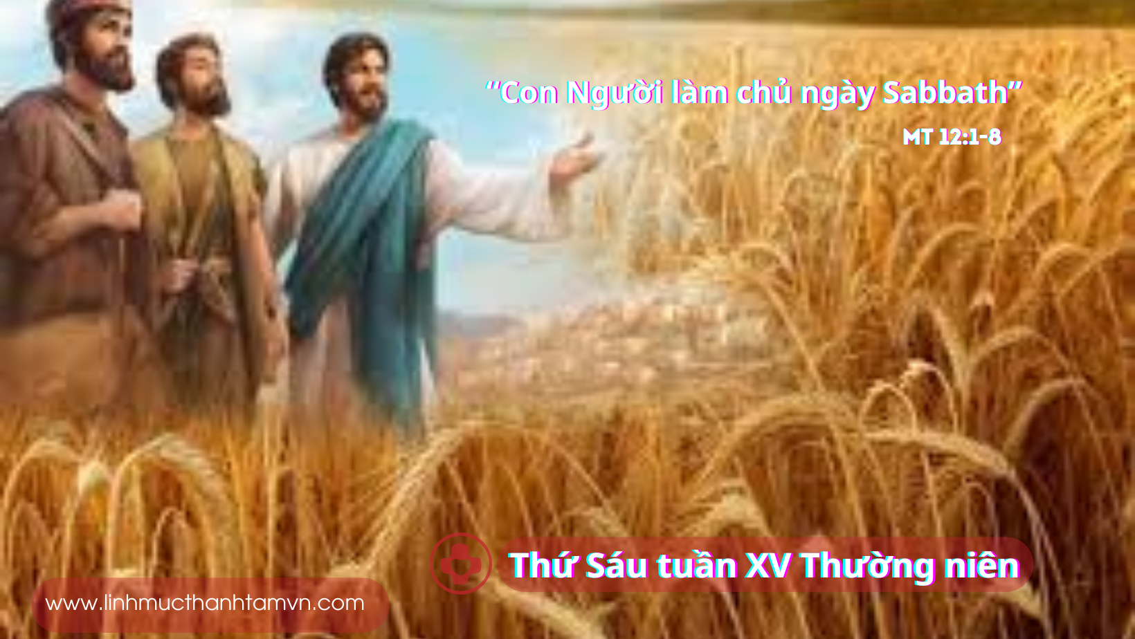 Thứ sáu tuần XV thường niên - Thiên Chúa làm chủ mọi ngày 2 thusautuan15tn