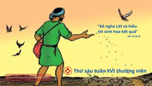 thusautuan16n
