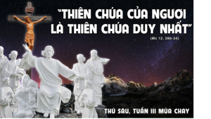 thusautuan3mc