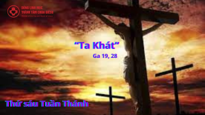 thusautuanthanhlinhmucthanhtam