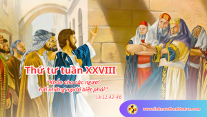 thututuan28tnlinhmucthanhtam