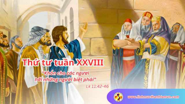 thututuan28tnlinhmucthanhtam