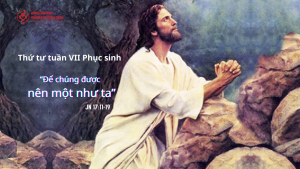 thututuanvii phucsinh