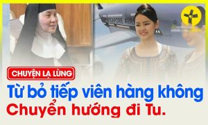 tiep vien hang khong bo di tu