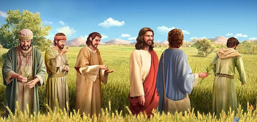 Thứ ba tuần II thường niên - Con người quí trọng hơn luật lệ 2 unnamed 1 1